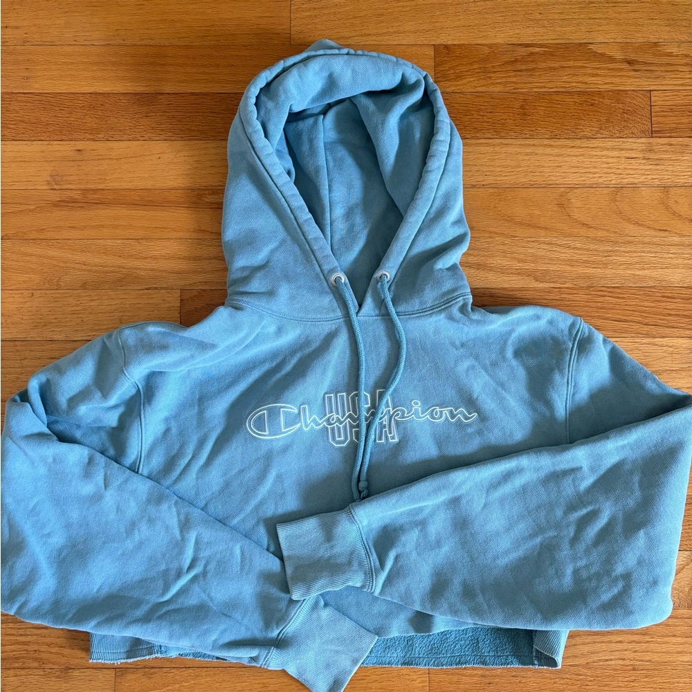 Champion Reverse Weave Cropped Hoodie